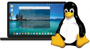linux, ubuntu
